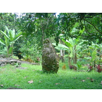 รูปถ่าย เฟรนช์โพลี่นีเซีย(Polynesia) หมู่เกาะมาร์เคซัส(Marquises) 2006-04 118