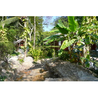 รูปถ่าย ไทย(Thailand) เกาะเสม็ด(Ko Samet) 2009-01 80
