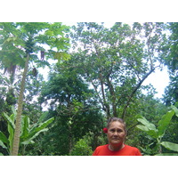 รูปถ่าย เฟรนช์โพลี่นีเซีย(Polynesia) หมู่เกาะมาร์เคซัส(Marquises) 2006-04 121