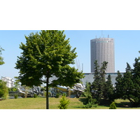 รูปถ่าย ฝรั่งเศส(France) ปารีส(Paris) ประตูมาโย(Porte Maillot) 2007-08 24