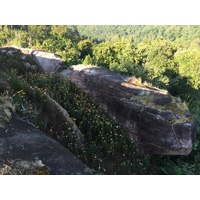 รูปถ่าย ไทย(Thailand) อุทยานแห่งชาติภูหินร่องกล้า(Phu Hin Rong Kla National Park) 2014-12 253