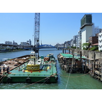 รูปถ่าย ญี่ปุ่น(Japan) โตเกียว(Tokyo) 2010-06 1