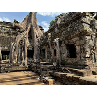 รูปถ่าย กัมพูชา(Cambodia) เสียมราฐ(Siem Reap) ปราสาทตาพรหม(Ta Prohm) 2023-01 72
