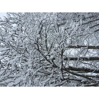 รูปถ่าย ฝรั่งเศส(France) เมแฌฟว์(Megeve) 2016-02 7