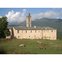 รูปถ่าย ฝรั่งเศส(France) คอร์สิคา(Corsica) วัลเล-ดาเลซานี(Valle d'alesani) 2006-09 102