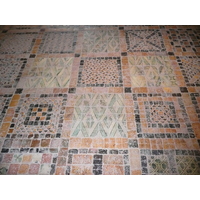 รูปถ่าย ฝรั่งเศส(France) ซืสซีนีโอ(Suscinio) ปราสาทซูซีนีโอ(Suscinio Castle) 2007-09 30