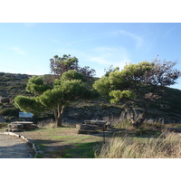 รูปถ่าย ฝรั่งเศส(France) คอร์สิคา(Corsica) แหลมคอร์ส(Corsican Cape) 2006-09 34