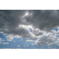 รูปถ่าย แอฟริกาใต้(South Africa) แม่น้ำซันเดส์(Sundays River) 2008-09 130