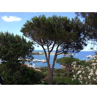 รูปถ่าย อิตาลี(Italy) ซาร์ดิเนีย(Sardinia) ปอร์โตแชร์โว(Porto Cervo) 2015-06 47