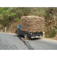 รูปถ่าย ไทย(Thailand) ถนนจากเชียงใหม่ไปปาย(Chiang Mai to Pai road) 2007-02 66