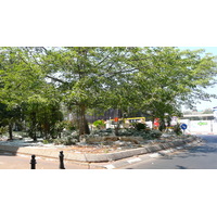 รูปถ่าย อิสราเอล(Israel) เทลอาวีฟ(Tel Aviv) ถนนรอธส์ไชลด์(Rothschild Street) 2007-06 23