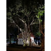 รูปถ่าย ไทย(Thailand) เชียงใหม่(Chiang Mai) 2024-01 18