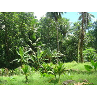 รูปถ่าย เฟรนช์โพลี่นีเซีย(Polynesia) หมู่เกาะมาร์เคซัส(Marquises) 2006-04 117