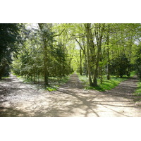 รูปถ่าย ฝรั่งเศส(France) ปราสาทเชอนงโซ(Chenonceau Castle) สวนปราสาทเชอนงโซ(Gardens of Chenonceau) 2008-04 54