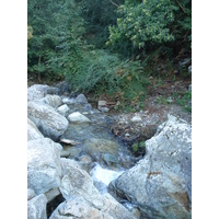 รูปถ่าย ฝรั่งเศส(France) คอร์สิคา(Corsica) วัลเล-ดาเลซานี(Valle d'alesani) 2006-09 136