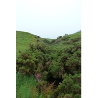 รูปถ่าย อังกฤษ(United Kingdom) สกอตแลนด์(Scotland) ปราสาทดันนอตตาร์(Dunnottar Castle) 2011-07 2