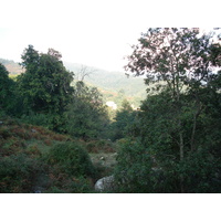 รูปถ่าย ฝรั่งเศส(France) คอร์สิคา(Corsica) วัลเล-ดาเลซานี(Valle d'alesani) 2006-09 127