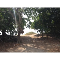 รูปถ่าย คอสตาริกา(Costa Rica) มอนเตซูมา(Montezuma) 2015-03 176