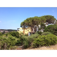 รูปถ่าย อิตาลี(Italy) ซาร์ดิเนีย(Sardinia) ปอร์โตแชร์โว(Porto Cervo) 2015-06 6