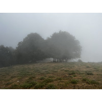 รูปถ่าย ฝรั่งเศส(France) คอร์สิคา(Corsica) ที่พักกัลเลรุชชู(Refuge de Callerucciu) 2022-06 24