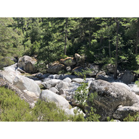 รูปถ่าย ฝรั่งเศส(France) คอร์สิคา(Corsica) หุบเขาลาเรสโตนีกา(La Restonica) 2020-07 138