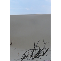 รูปถ่าย แอฟริกาใต้(South Africa) แม่น้ำซันเดส์(Sundays River) 2008-09 107