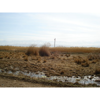 รูปถ่าย คาซัคสถาน(Kazakhstan) ถนนจากอัลมาตีไปหุบผาชารึน(Almaty to Charyn Canyon road) 2007-03 0