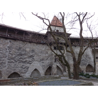 รูปถ่าย เอสโตเนีย(Estonia) ทาลลินน์(Tallinn) เมืองเก่าทาลลินน์(Old Tallinn) 2009-04 29