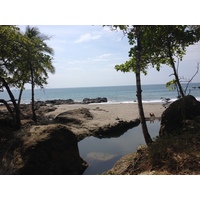 รูปถ่าย คอสตาริกา(Costa Rica) มอนเตซูมา(Montezuma) 2015-03 433