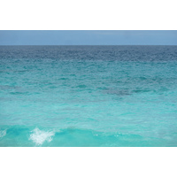 รูปถ่าย เซเชลส์(Seychelles) เกาะกร็องด์เซอร์(Grande Soeur) 2011-10 19