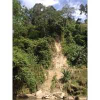 รูปถ่าย คอสตาริกา(Costa Rica) แม่น้ำปากัวเร(Pacuare River) 2015-03 11