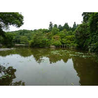รูปถ่าย ญี่ปุ่น(Japan) เกียวโต(Kyoto) วัดเรียวอันจิ(Ryoanji Temple) 2010-06 11