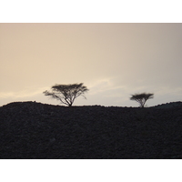 รูปถ่าย โอมาน(Oman) จากบูไรมิไปถนนโซฮาร์(Buraimi to Sohar road) 2005-03 0