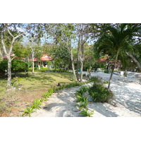 รูปถ่าย ไทย(Thailand) เกาะเสม็ด(Ko Samet) อ่าวช่อ(Ao Cho) 2009-01 42