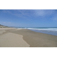 รูปถ่าย แอฟริกาใต้(South Africa) ถนนจากเฮอร์มานัสไปไนส์นา(Harmanus to Knysna road) 2008-09 69