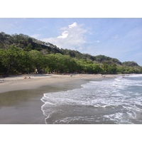 รูปถ่าย คอสตาริกา(Costa Rica) มอนเตซูมา(Montezuma) 2015-03 437