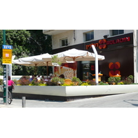 รูปถ่าย อิสราเอล(Israel) เทลอาวีฟ(Tel Aviv) ถนนอิบน์กบีรอล(Ibn Gvirol Street) 2007-06 23