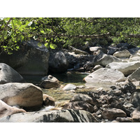 รูปถ่าย ฝรั่งเศส(France) คอร์สิคา(Corsica) หุบเขาลาเรสโตนีกา(La Restonica) 2020-07 29