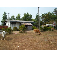รูปถ่าย ไทย(Thailand) ถนนจากเชียงใหม่ไปปาย(Chiang Mai to Pai road) 2007-02 72