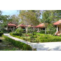 รูปถ่าย ไทย(Thailand) เกาะเสม็ด(Ko Samet) อ่าวช่อ(Ao Cho) 2009-01 3