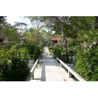 รูปถ่าย ไทย(Thailand) เกาะเสม็ด(Ko Samet) อ่าวช่อ(Ao Cho) 2009-01 5