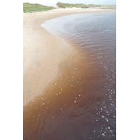 รูปถ่าย อังกฤษ(United Kingdom) สกอตแลนด์(Scotland) ลอสซีเมาท์(Lossiemouth) 2011-07 19