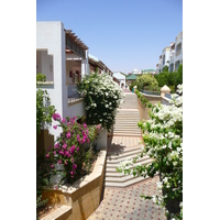 รูปถ่าย อียิปต์(Egypt) ชาร์มเอลชีค(Sharm el Sheikh) โรงแรมไฮแอต(Hyatt Hotel) 2008-06 177