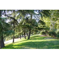 รูปถ่าย สเปน(Spain) มาดริค(Madrid) สวนเดลโอเอสเต(Parque del Oeste) 2007-09 35