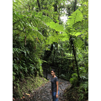 รูปถ่าย กวาเดอลูป(Guadeloupe) น้ำตกการ์เบ(Carbet Falls) 2021-02 37