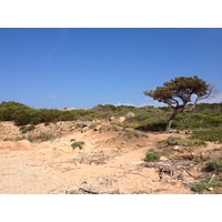 รูปถ่าย อิตาลี(Italy) ซาร์ดิเนีย(Sardinia) กอสตาสเมรัลดา(Costa Smeralda) 2015-06 118