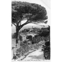 รูปถ่าย ฝรั่งเศส(France) คอร์สิคา(Corsica) โปสการ์ดเก่า(Old Postcards) บาสเทีย(Bastia) 1900-01 55