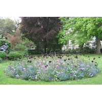 รูปถ่าย ฝรั่งเศส(France) ปารีส(Paris) สวนลักเซมเบิร์ก(Luxembourg Garden) 2007-04 157