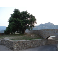รูปถ่าย ฝรั่งเศส(France) คอร์สิคา(Corsica) คาลวี(Calvi) 2006-09 1