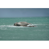 รูปถ่าย แอฟริกาใต้(South Africa) แหลมกู๊ดโฮป(Cape of Good Hope) 2008-09 96